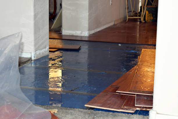 Professional Flood Damage Restoration technician working in Elmhurst, IL